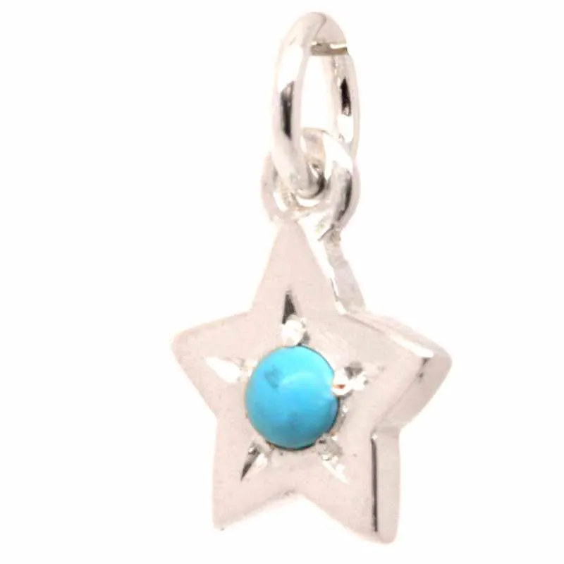 9ct White Gold Birthstone Star Charm