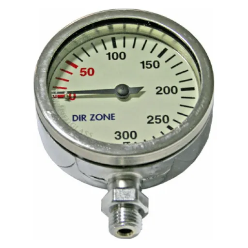 DIRZONE 63mm Naked Pressure Gauge - Nickel
